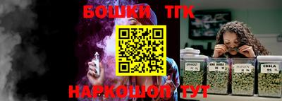 тгк Жуковский