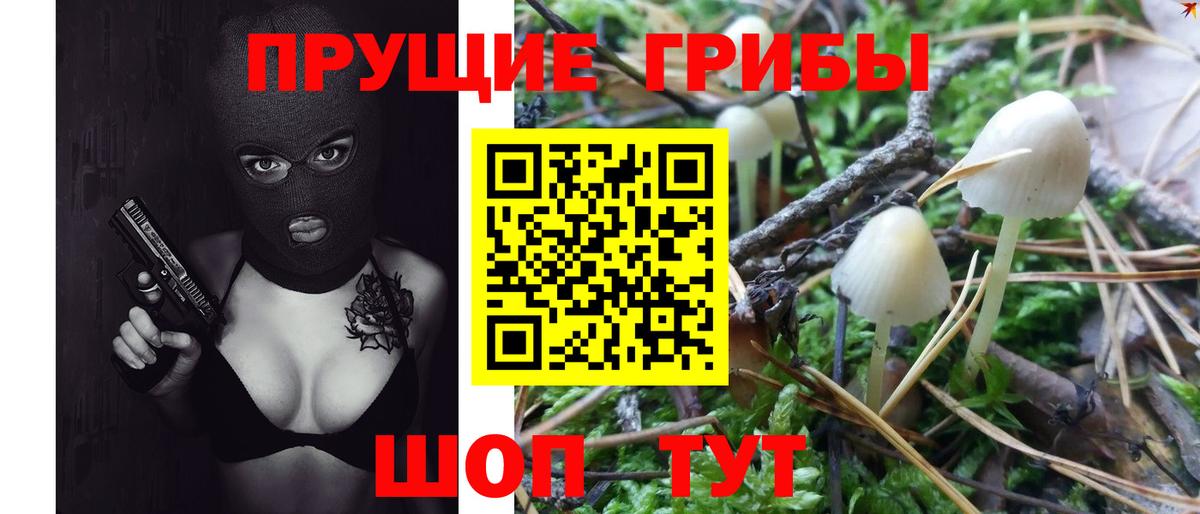 Галлюциногенные грибы прущие грибы Мичуринск